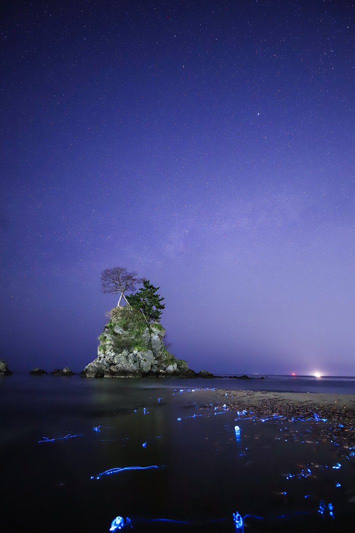 海岸の写真