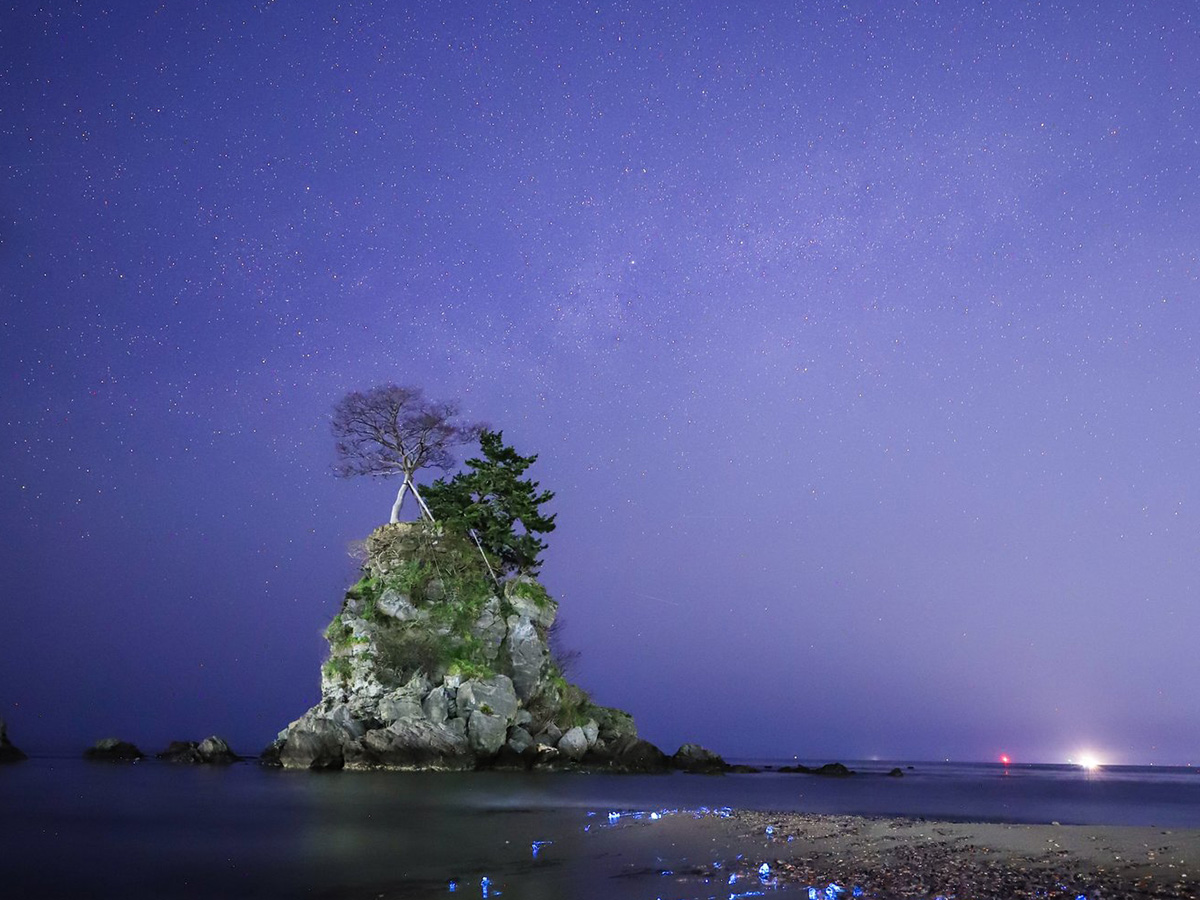 海岸の写真