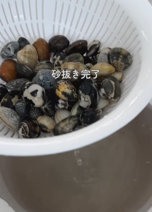 砂抜き完了