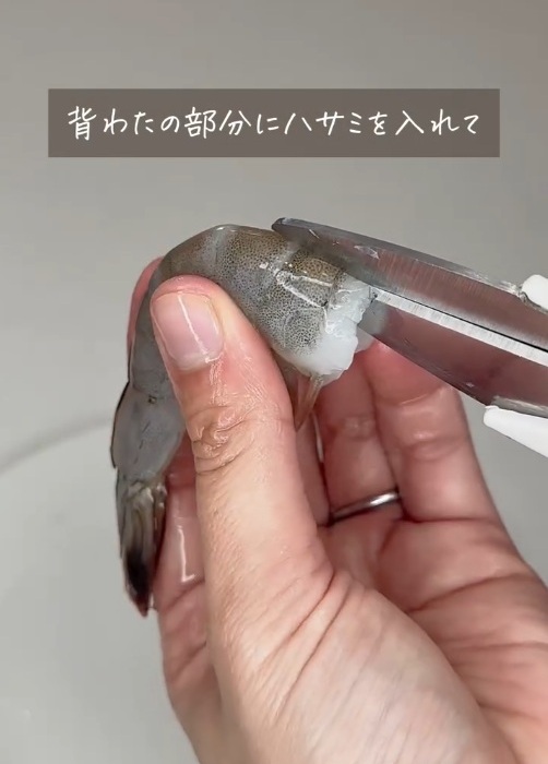 キッチンバサミを背腸部分へ差し込む