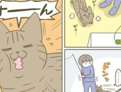tamakotamagoyamaさんの投稿漫画