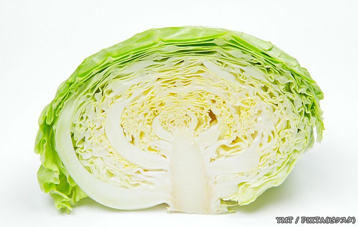 キャベツの芯の写真