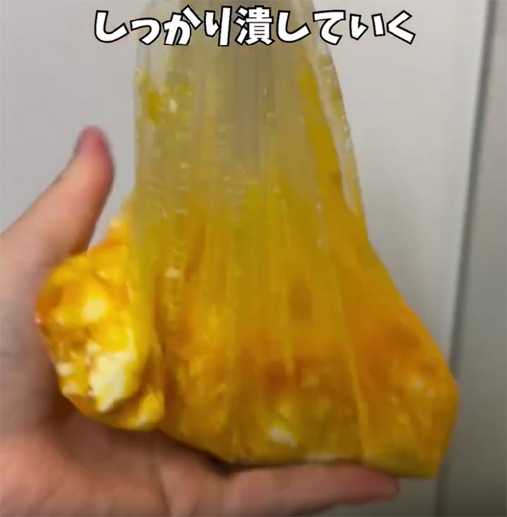 卵の写真