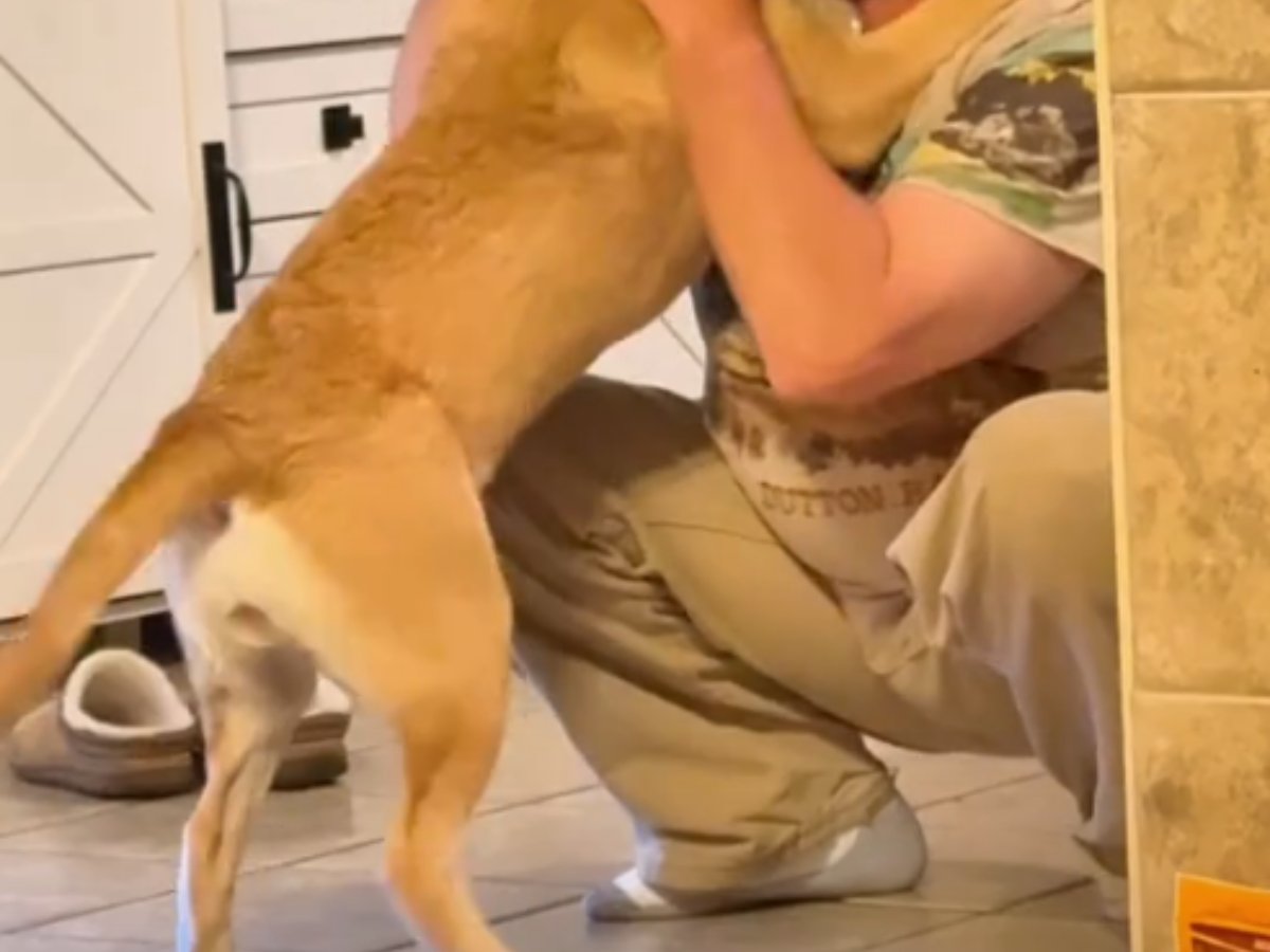男性に抱きつく犬の写真