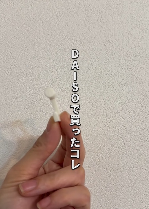 ピンフックを手にしている写真