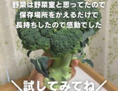 ブロッコリー