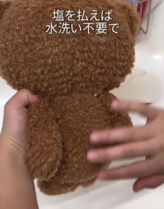 ぬいぐるみに付いた塩を手で払う様子