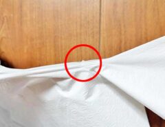 ビニール袋の写真