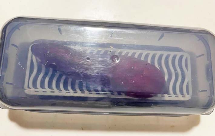 ダイソー『電子レンジ調理器』の使用写真
