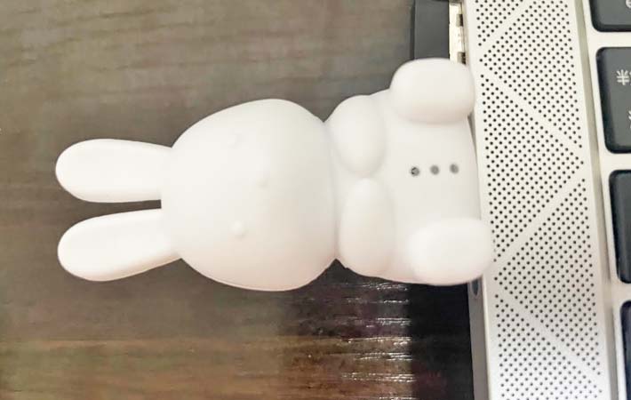 ダイソー『ボイスコントロールライト うさぎ』の使用写真