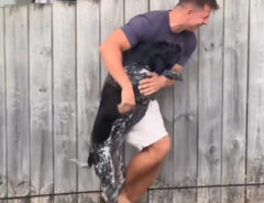 犬と男性の写真