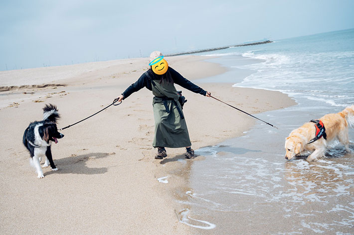 犬の写真