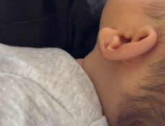 赤ちゃんの画像