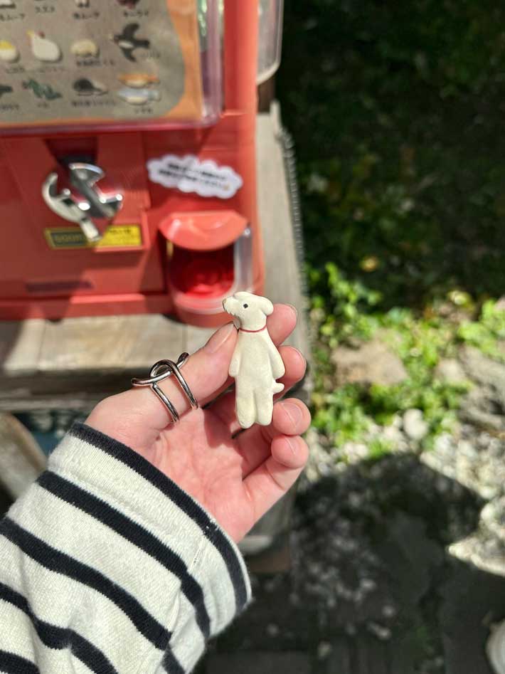 カプセルトイの画像