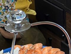料理の写真