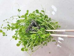 『豆苗の塩昆布和え』を作る写真