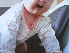 赤ちゃんの写真