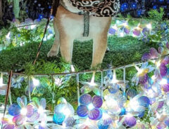 夜景と柴犬