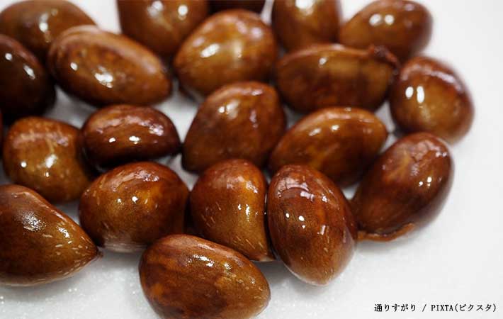 ビワの種