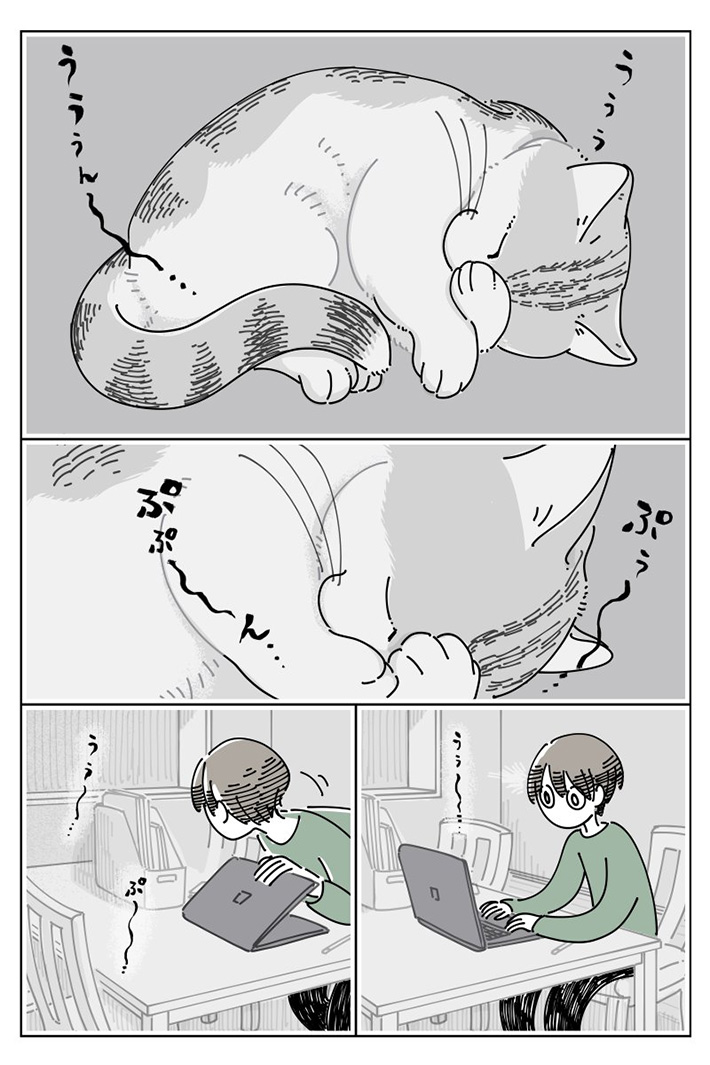 キュルZ（@kyuryuZ）さんの猫漫画