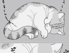 キュルZ（@kyuryuZ）さんの猫漫画