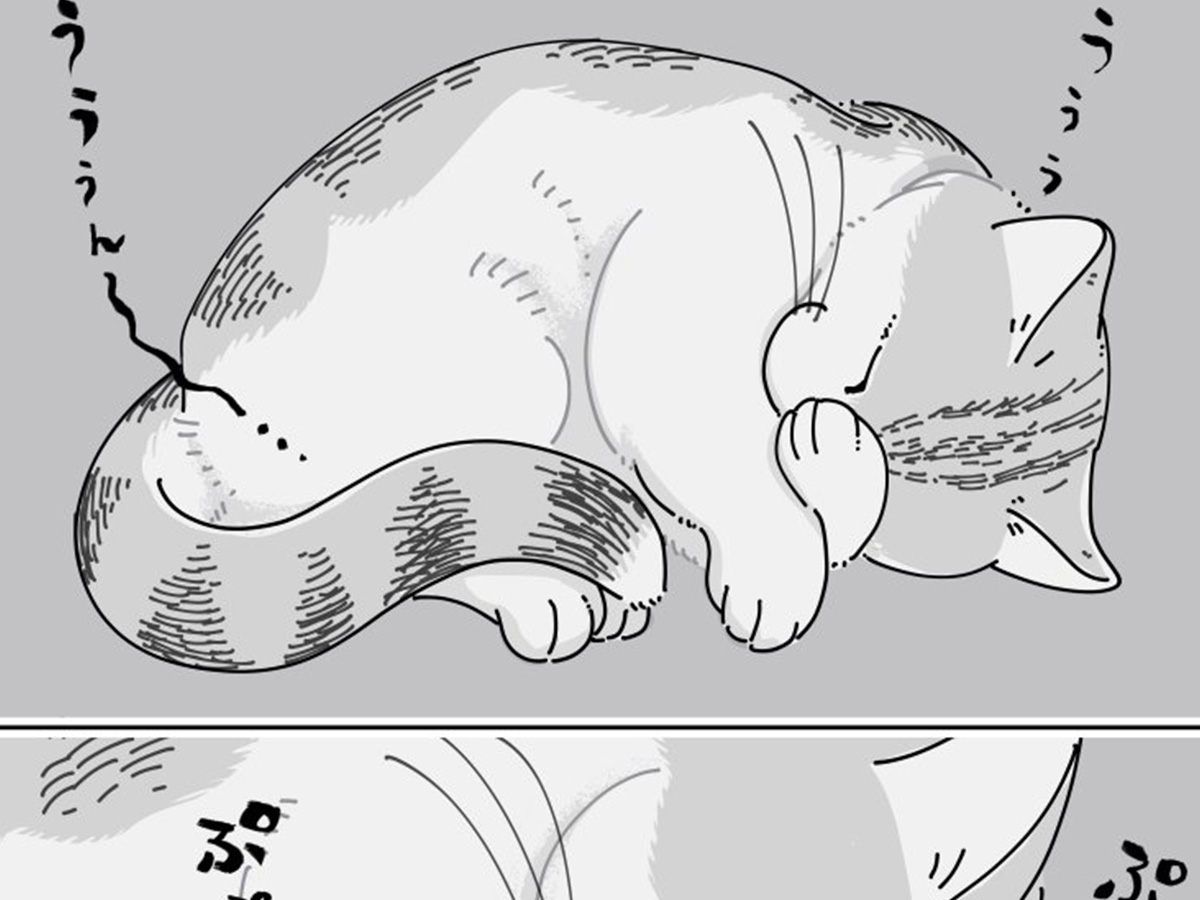 キュルZ(@kyuryuZ)さんの猫漫画