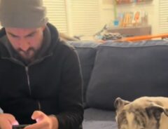 男性と犬の写真