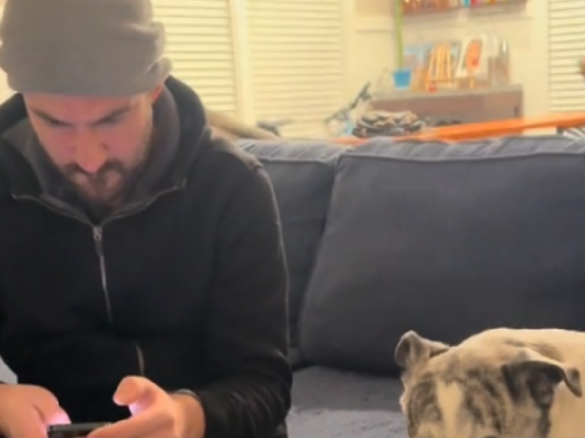 男性と犬の写真