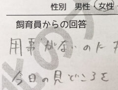 水族館の貼り紙の写真