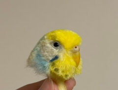 monzo（@monzo_felt）さんの羊毛フェルト作品