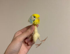 monzo（@monzo_felt）さんの羊毛フェルト作品