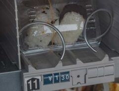 おにぎりの画像