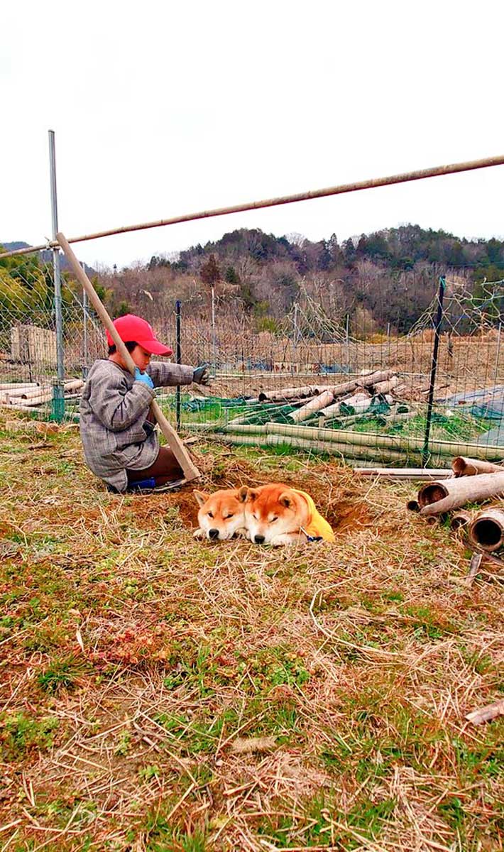 少年の写真
