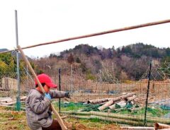 少年の写真
