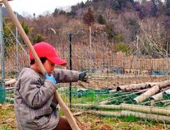 少年の写真