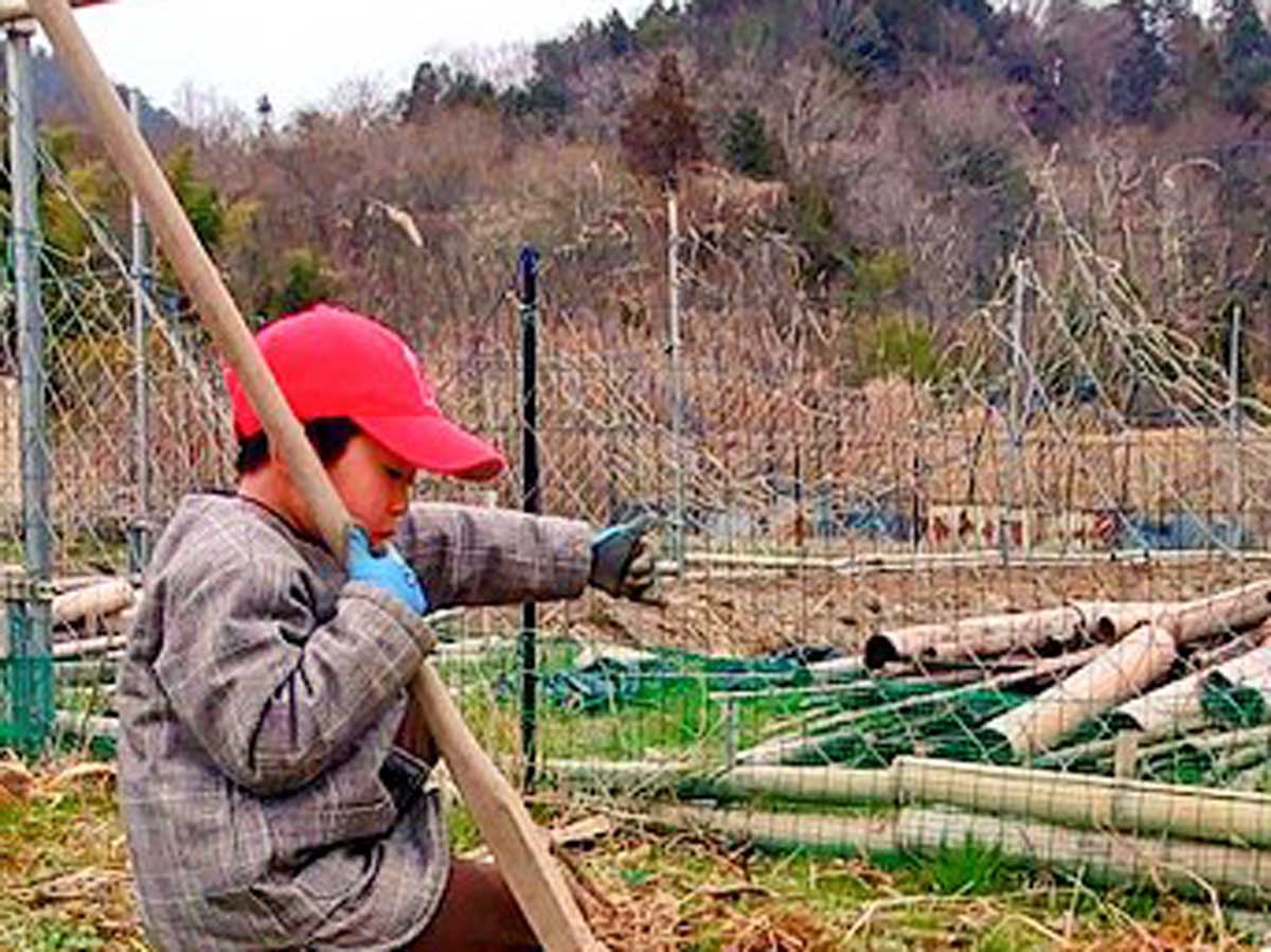 少年の写真