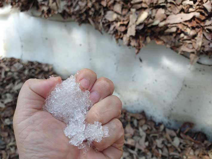雪の画像