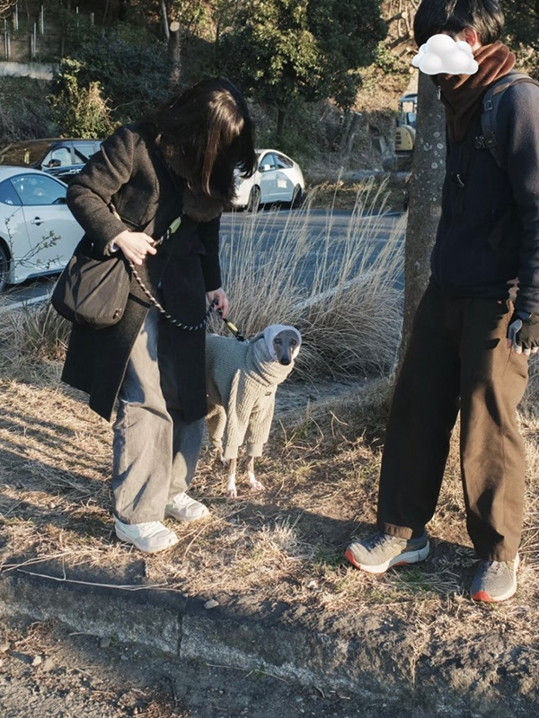 犬と飼い主の写真