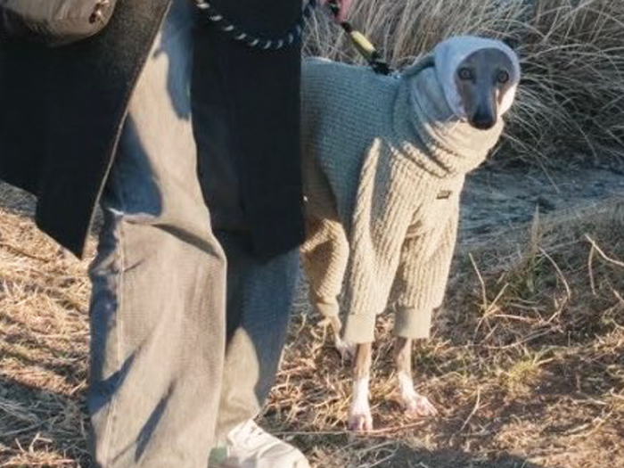 犬と飼い主の写真