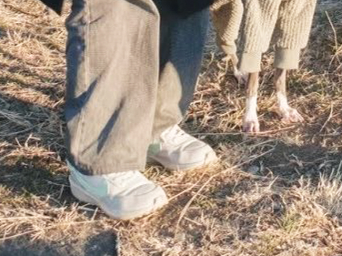 犬と飼い主の写真