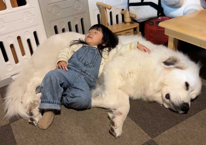 娘と犬