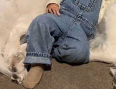 娘と犬