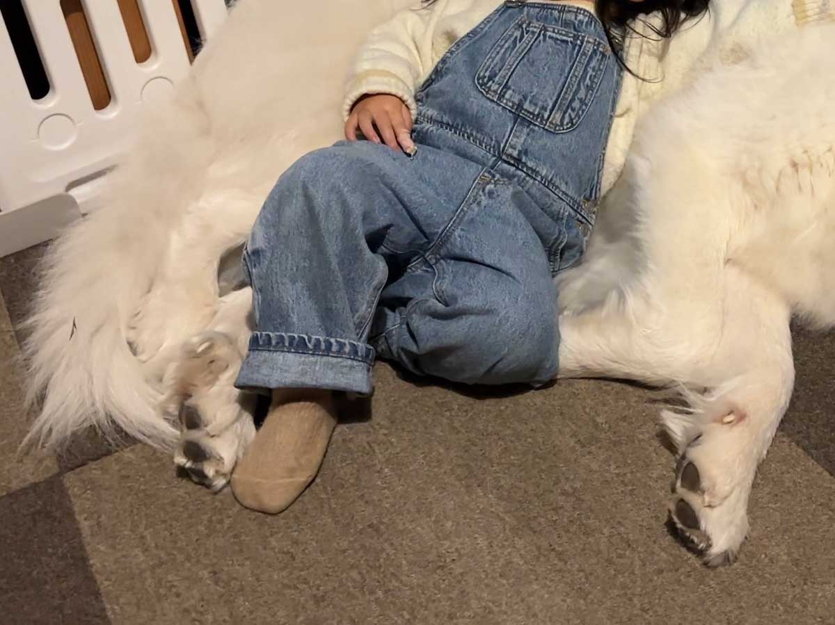 娘と犬