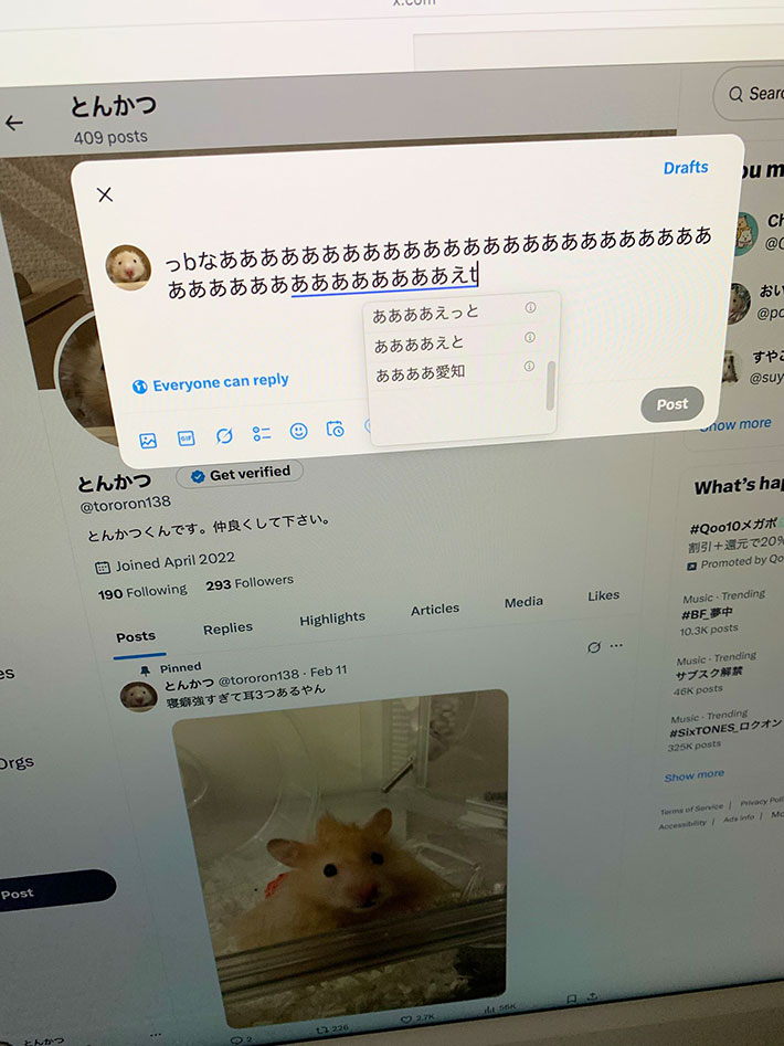 Xの写真