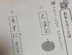 小学校の宿題
