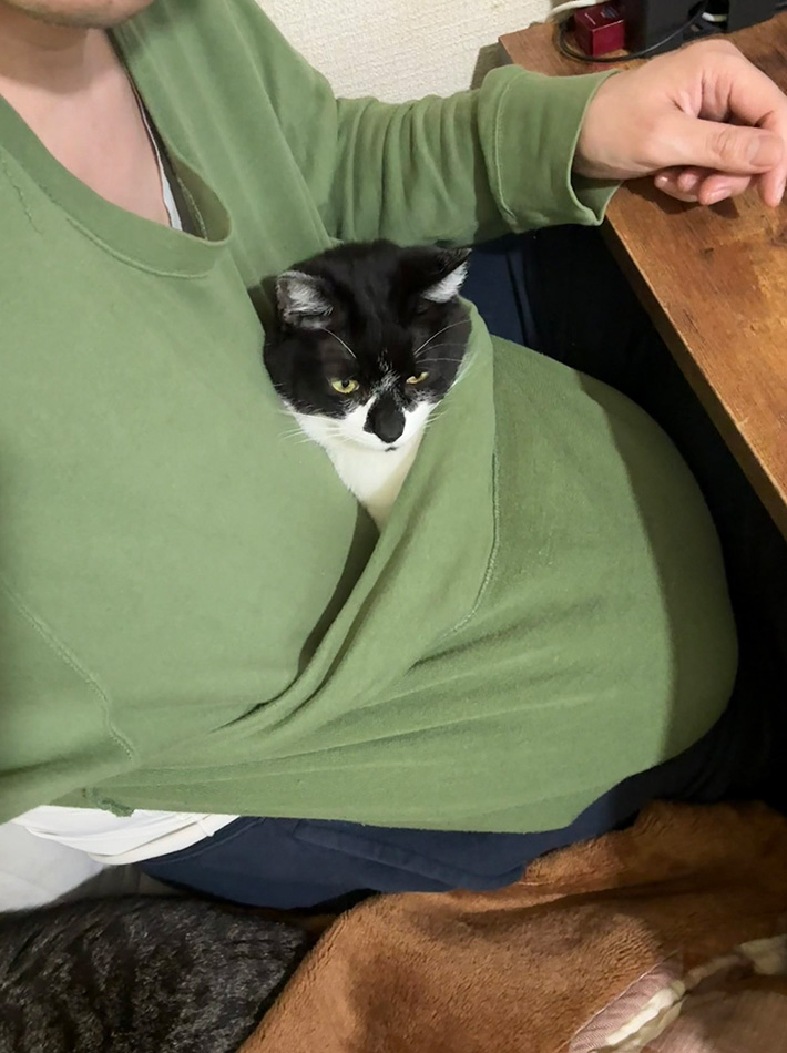 飼い主と猫の写真