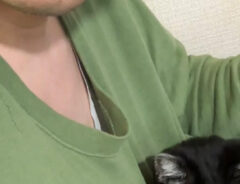 飼い主と猫の写真