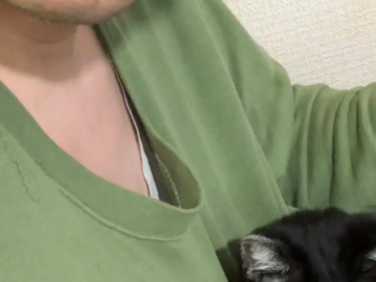 飼い主と猫の写真