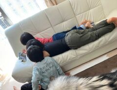 子供と犬の写真