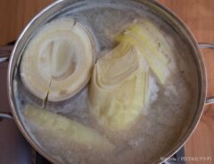 タケノコ